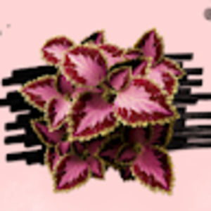 Meet your Posher, Victor